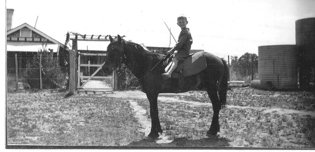 Truxton, 4th birthday on his pony, Peter